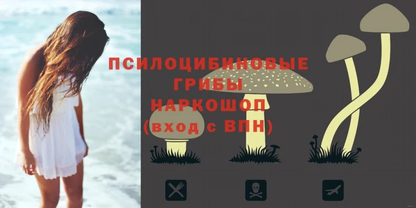 амф Михайловск