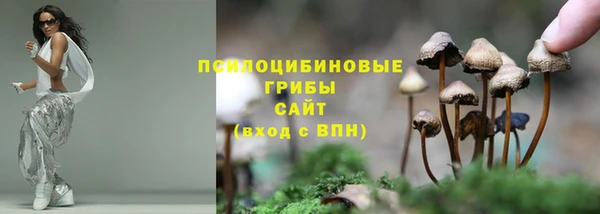 амф Михайловск