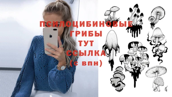 2c-b Михайловка