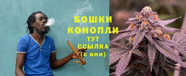 амф Михайловск